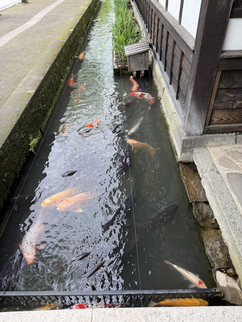 みーちん٩( 'ω' )وさんの津和野温泉なごみの里のサ活写真