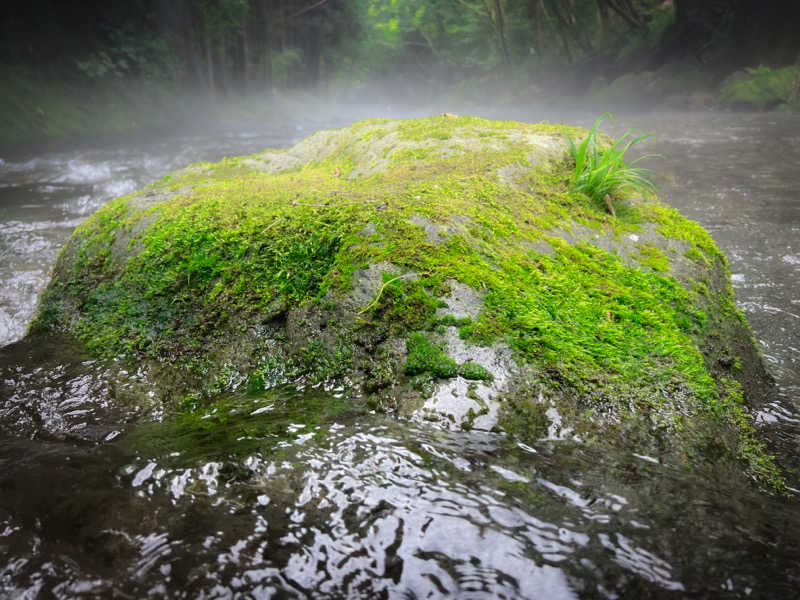 Saunner’s HIGHさんの富士山天然水SPA サウナ鷹の湯のサ活写真