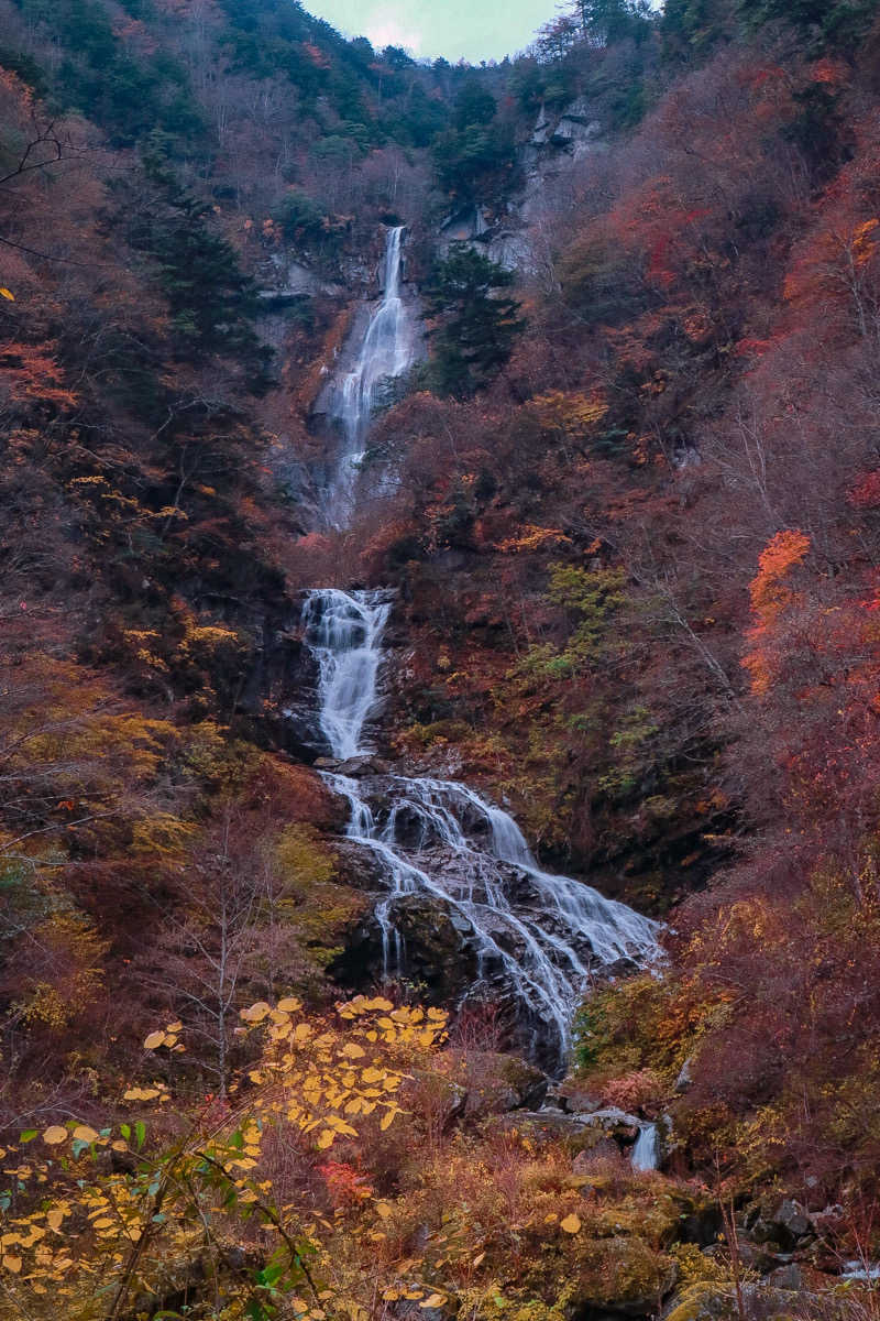 Saunner’s HIGH | SSCさんの尾白の湯のサ活写真