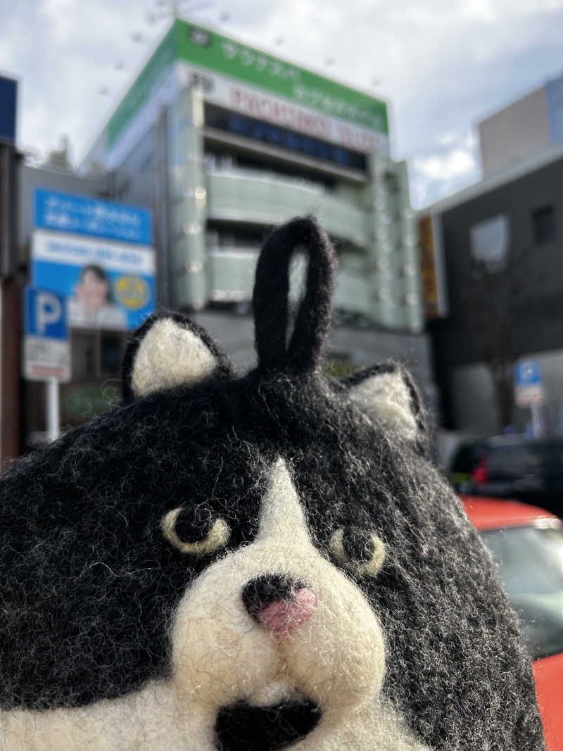 もとニャワタ サウニャ〜さんのサウナ&カプセルホテルレインボー本八幡店のサ活写真