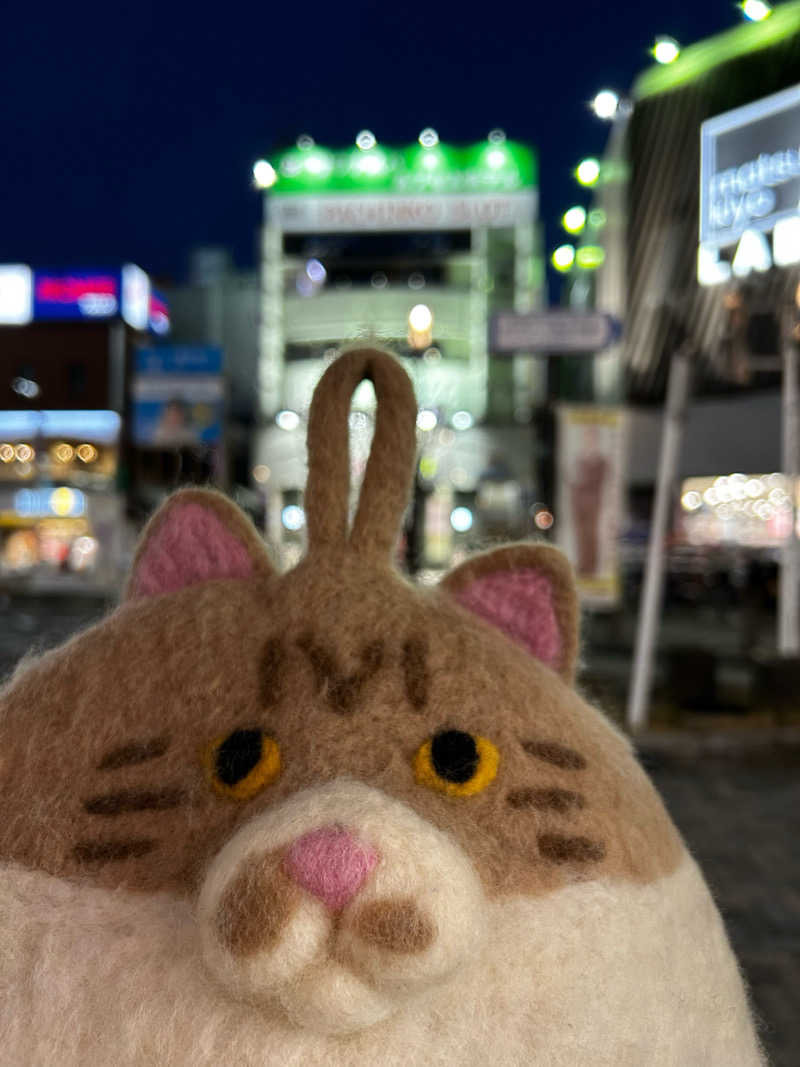 もとニャワタ サウニャ〜さんのサウナ&カプセルホテルレインボー本八幡店のサ活写真