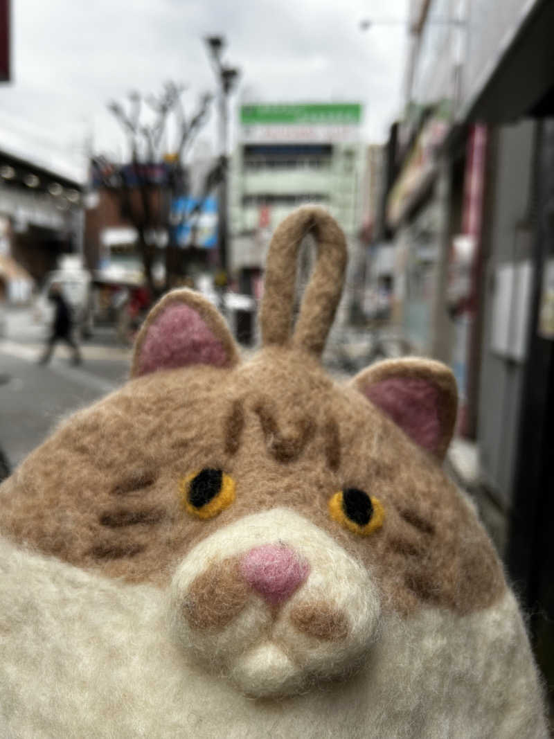 もとニャワタ サウニャ〜さんのサウナ&カプセルホテルレインボー本八幡店のサ活写真