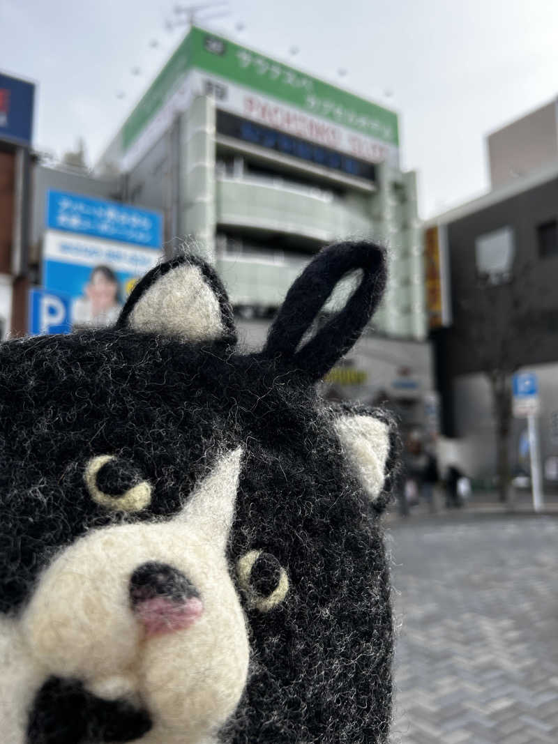 もとニャワタ サウニャ〜さんのサウナ&カプセルホテルレインボー本八幡店のサ活写真