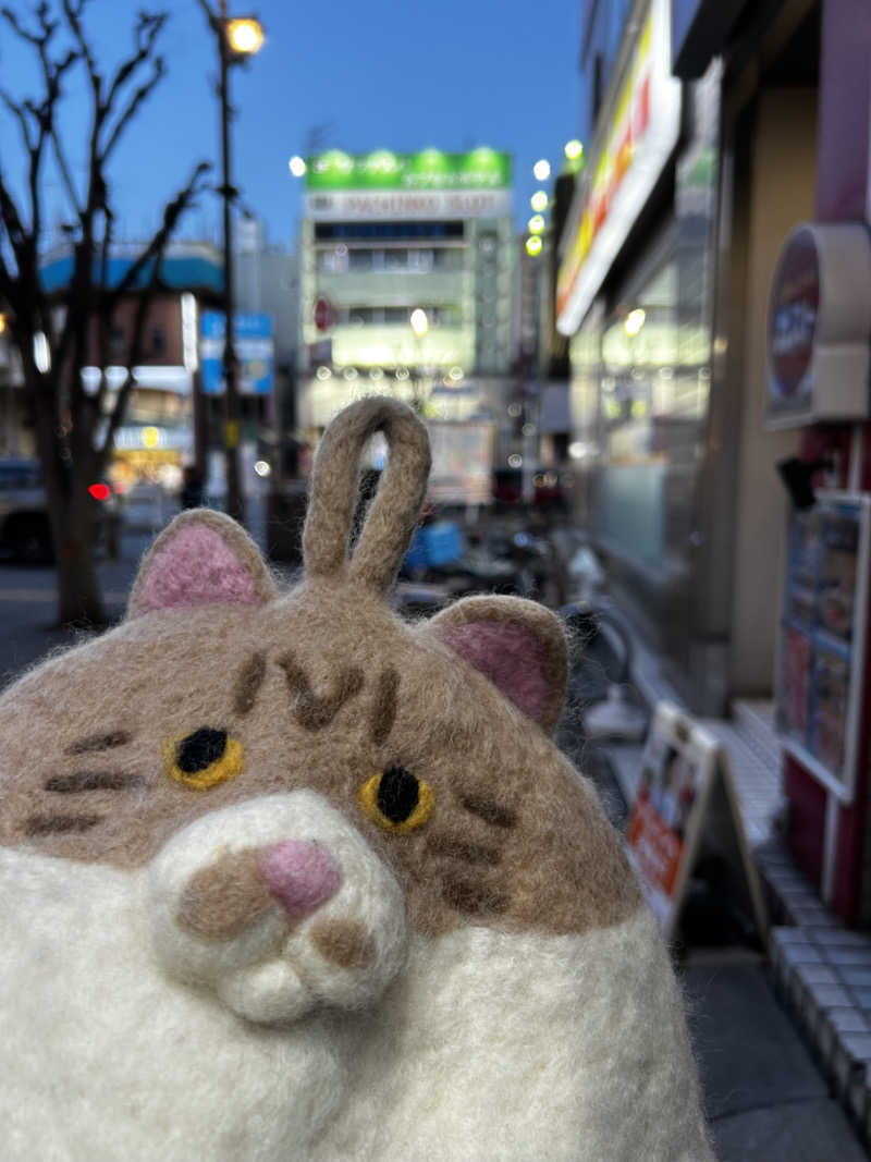 もとニャワタ サウニャ〜さんのサウナ&カプセルホテルレインボー本八幡店のサ活写真