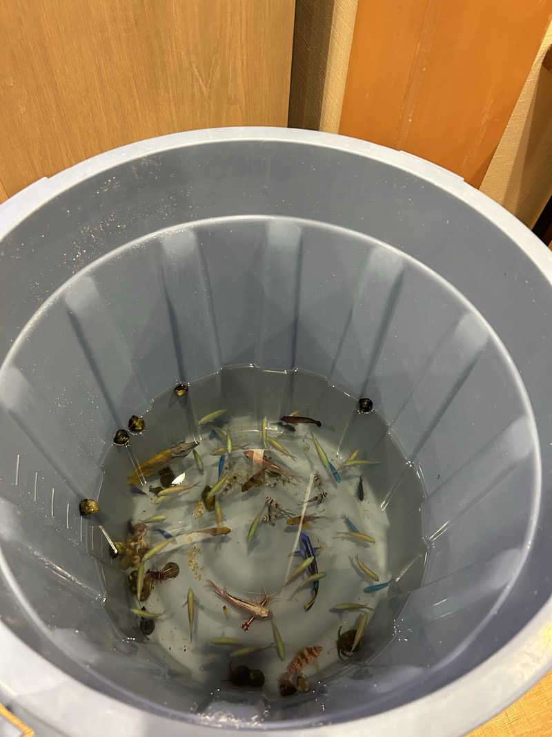 すちゃんさんの竹取温泉 灯りの湯のサ活写真