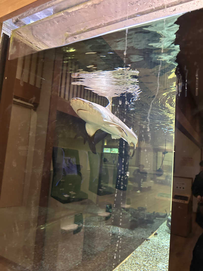 すちゃんさんの竹取温泉 灯りの湯のサ活写真