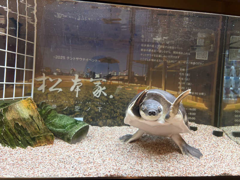 りくさんの松本湯のサ活写真