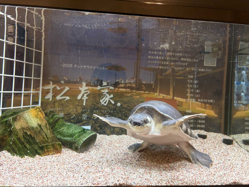 りくさんの松本湯のサ活写真