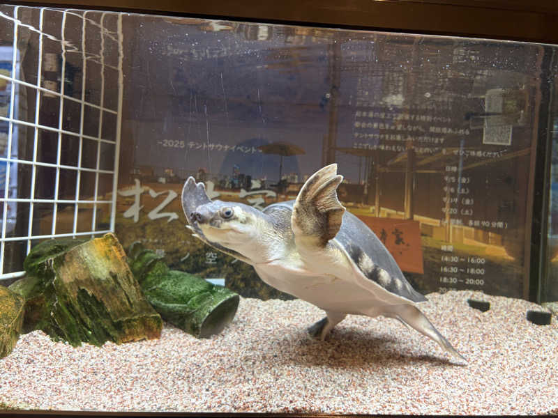 りくさんの松本湯のサ活写真