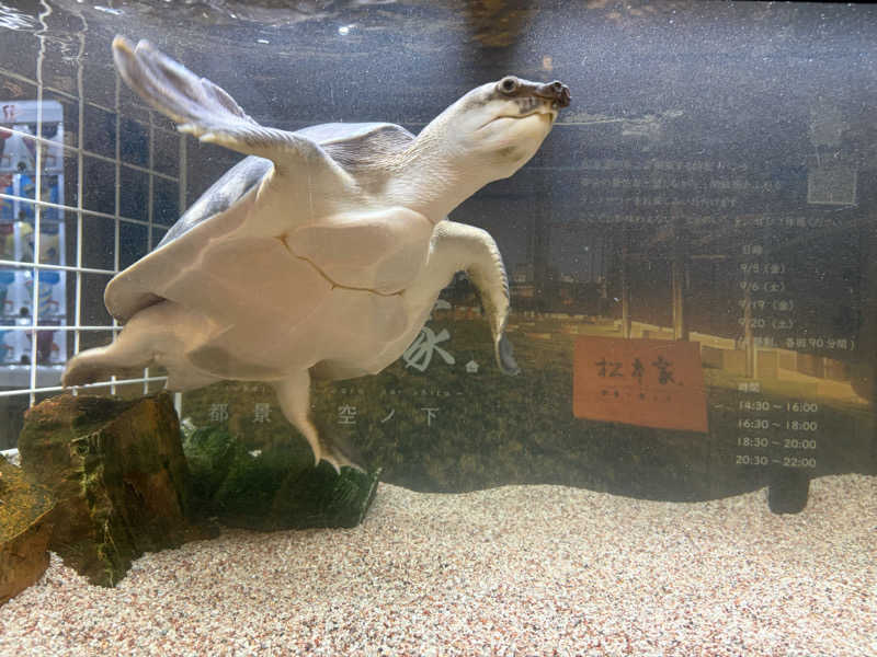 りくさんの松本湯のサ活写真