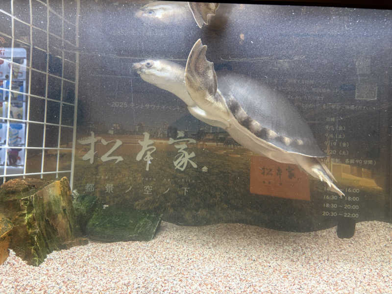 りくさんの松本湯のサ活写真