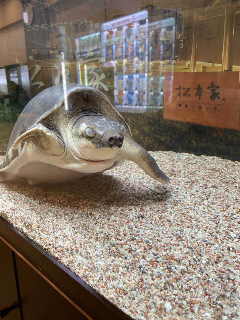 白米をおかずに餃子をたべたいさんの松本湯のサ活写真