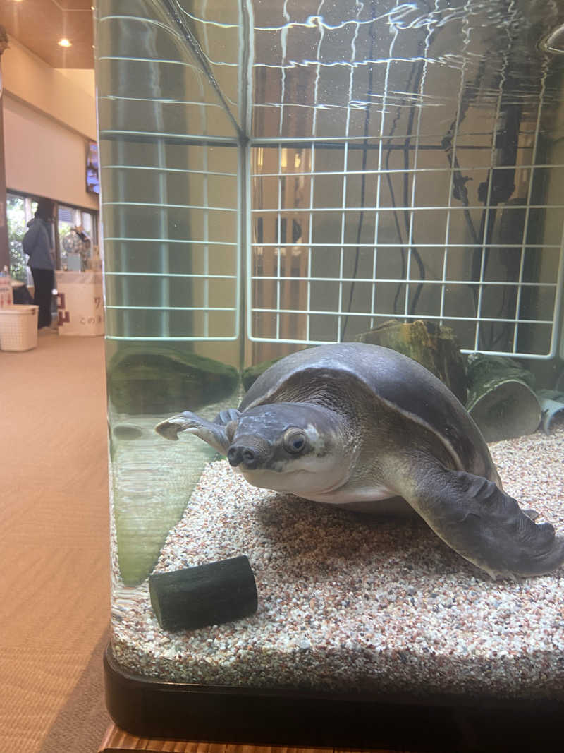 白米をおかずに餃子をたべたいさんの松本湯のサ活写真