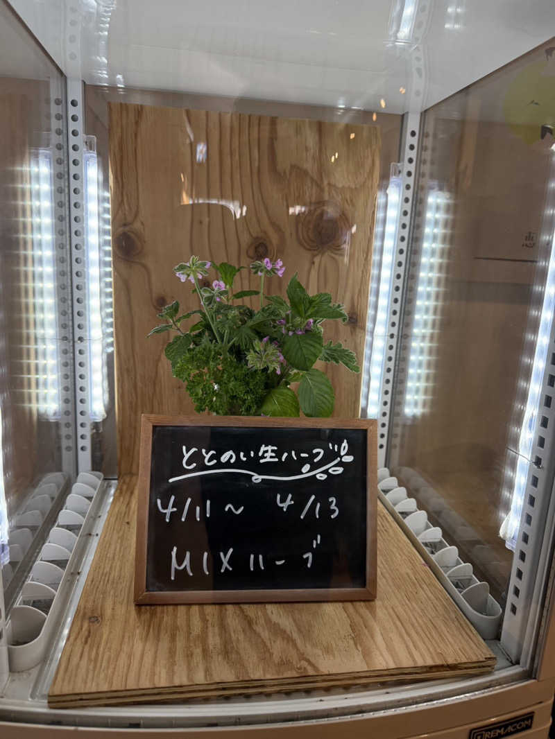 みゆせさんの各務原 恵みの湯のサ活写真