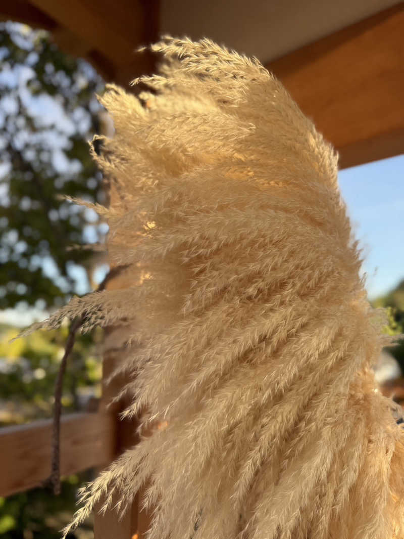 みゆせさんの天光の湯のサ活写真