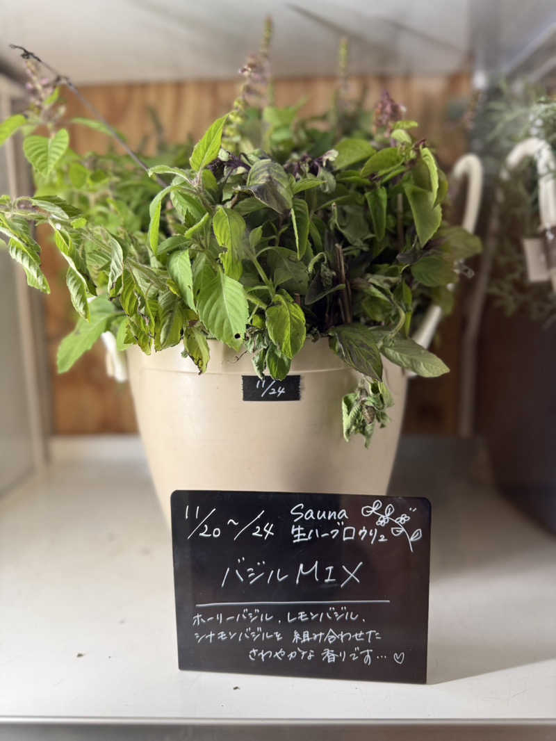 みゆせさんの岐阜各務原 恵みの湯のサ活写真