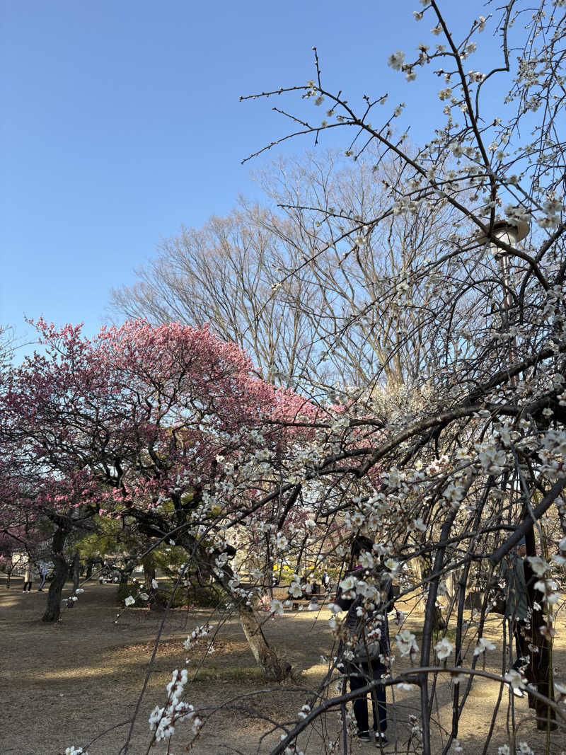 Hero_2_goodさんのおふろの王様 花小金井店のサ活写真