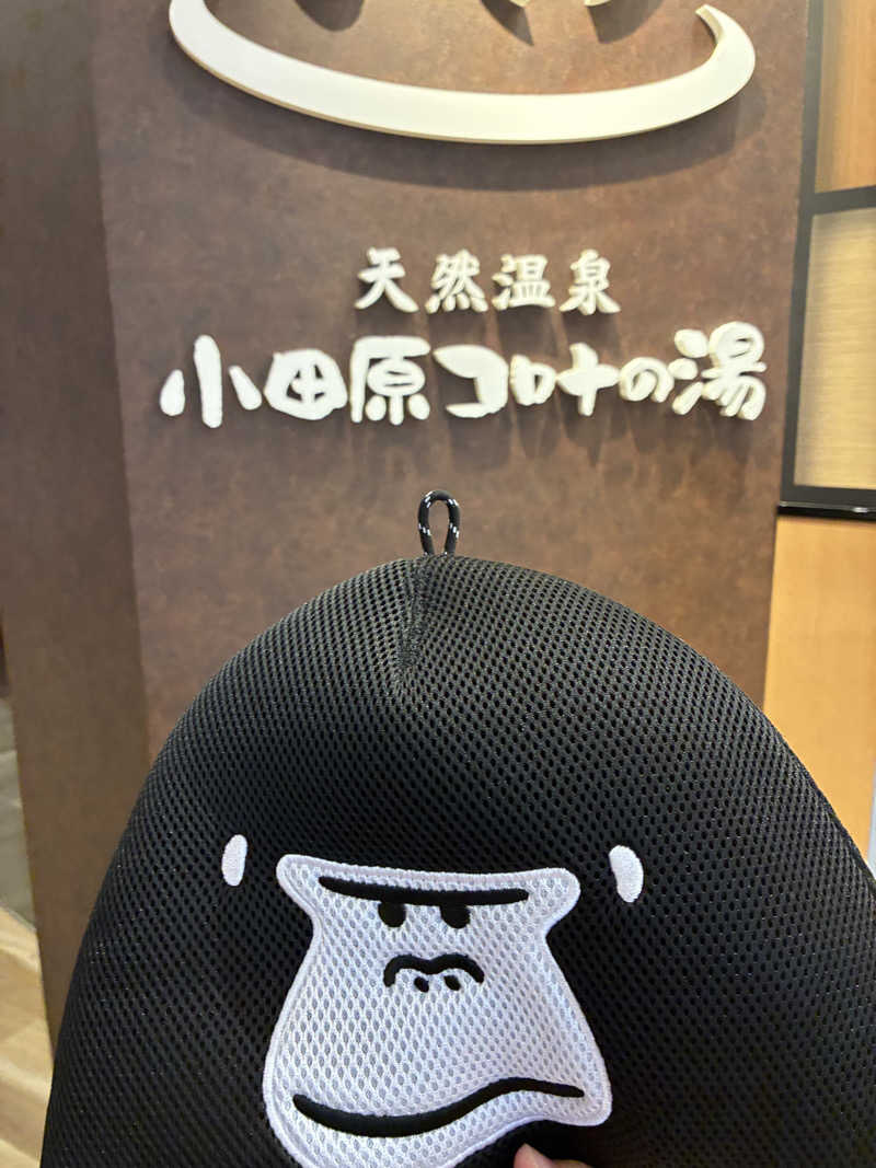 うっちーさんの天然温泉 小田原コロナの湯のサ活写真