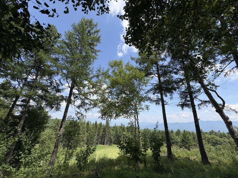 サウナパナさんのSAUNA TEN            - Birch and cloud forest -のサ活写真