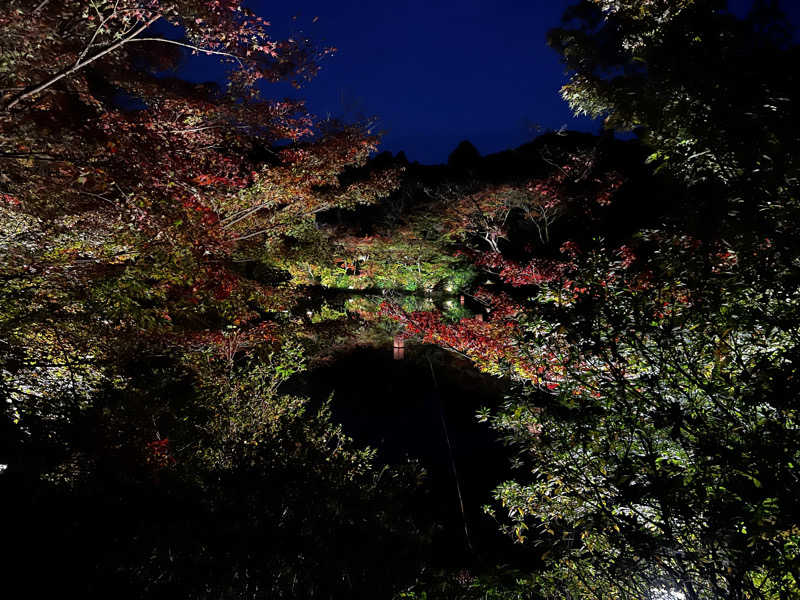 こうちゃんさんの御船山楽園ホテル  らかんの湯のサ活写真