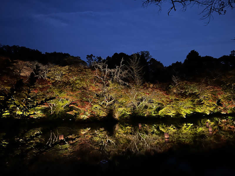 こうちゃんさんの御船山楽園ホテル  らかんの湯のサ活写真