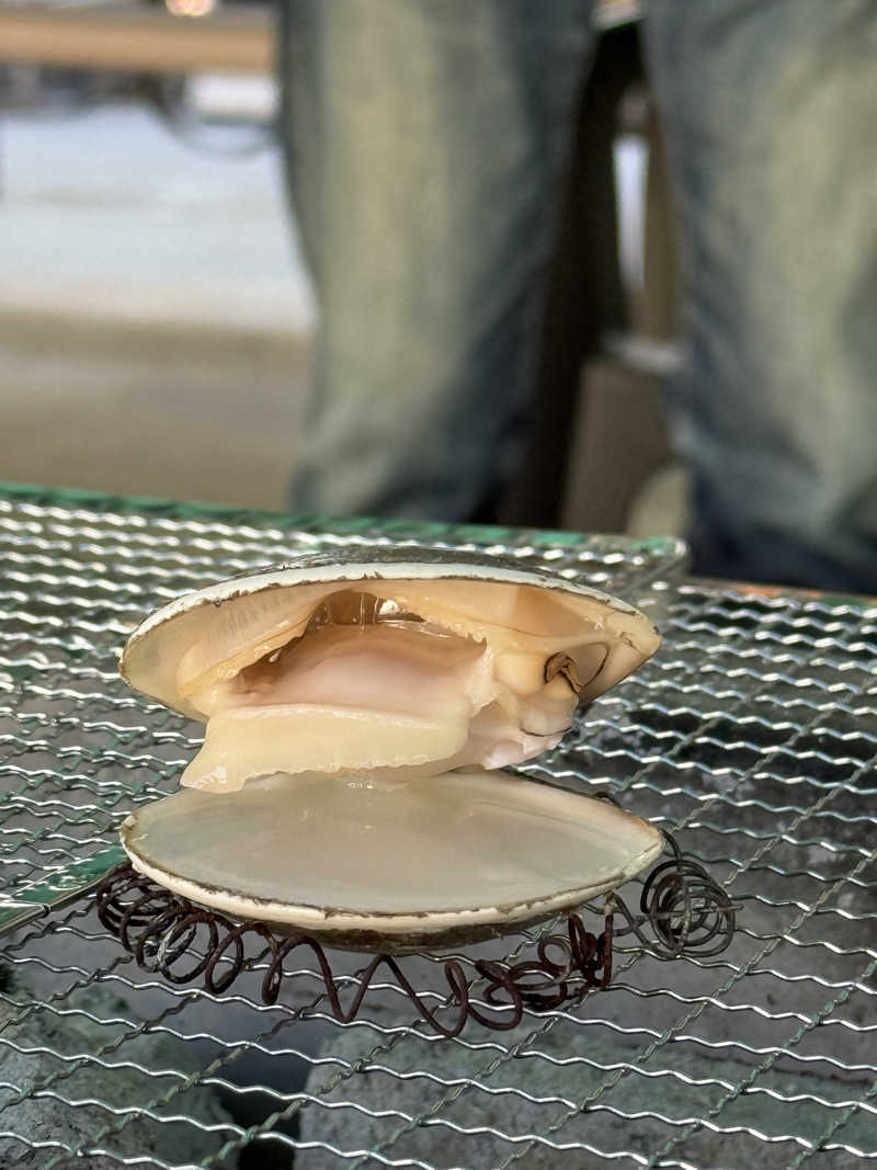 KUBA ボーイズ"会計役"さんのニューハートピア温泉 天然温泉ホテル長島のサ活写真