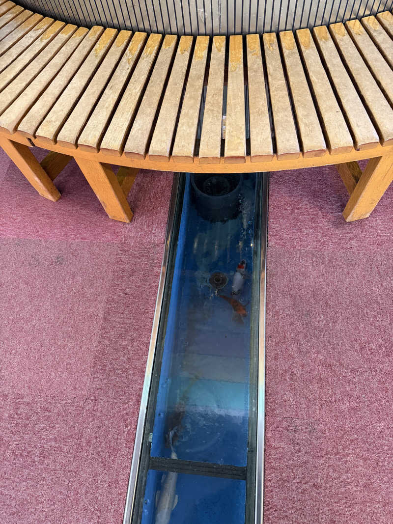 Saunner M.D.さんの夢の公衆浴場 五色のサ活写真