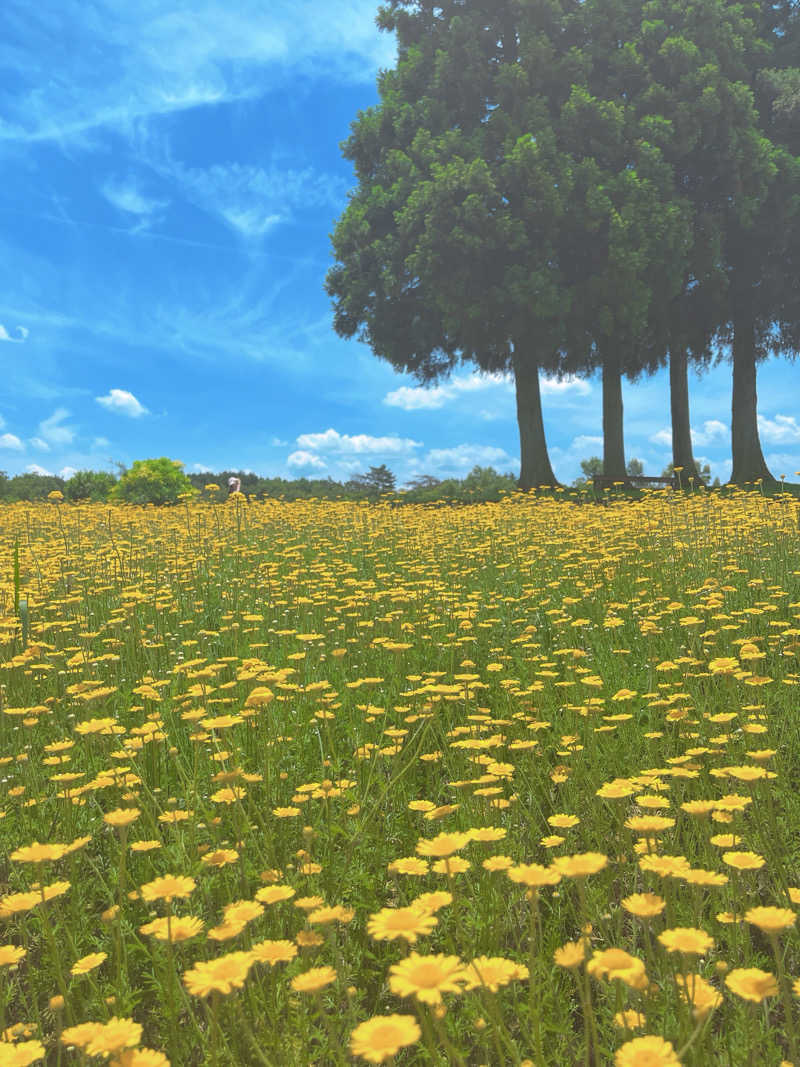 みんさん◎Sauna or die.さんの島ヶ原温泉やぶっちゃのサ活写真