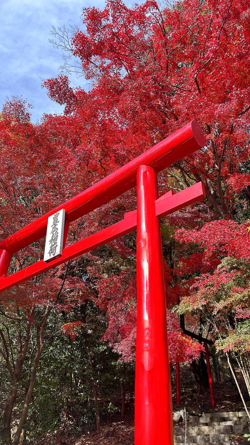 みんさん◎Sauna or die.さんの天光の湯のサ活写真