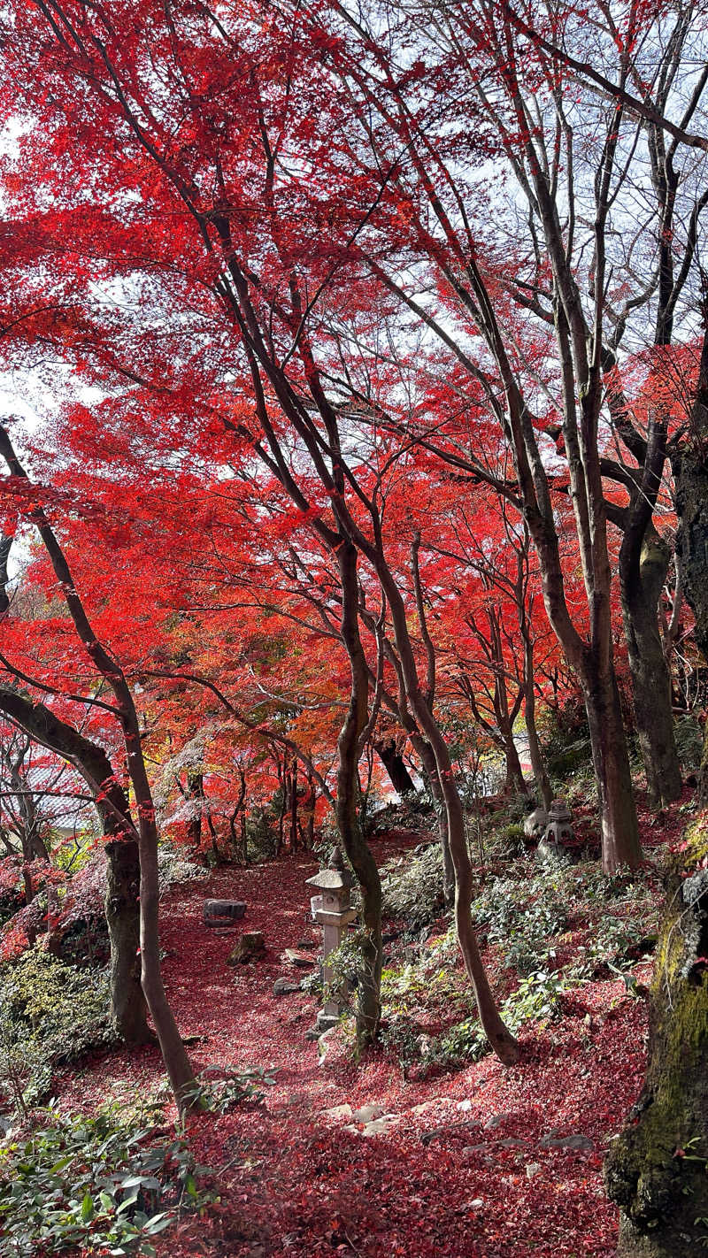 みんさん◎Sauna or die.さんの天光の湯のサ活写真