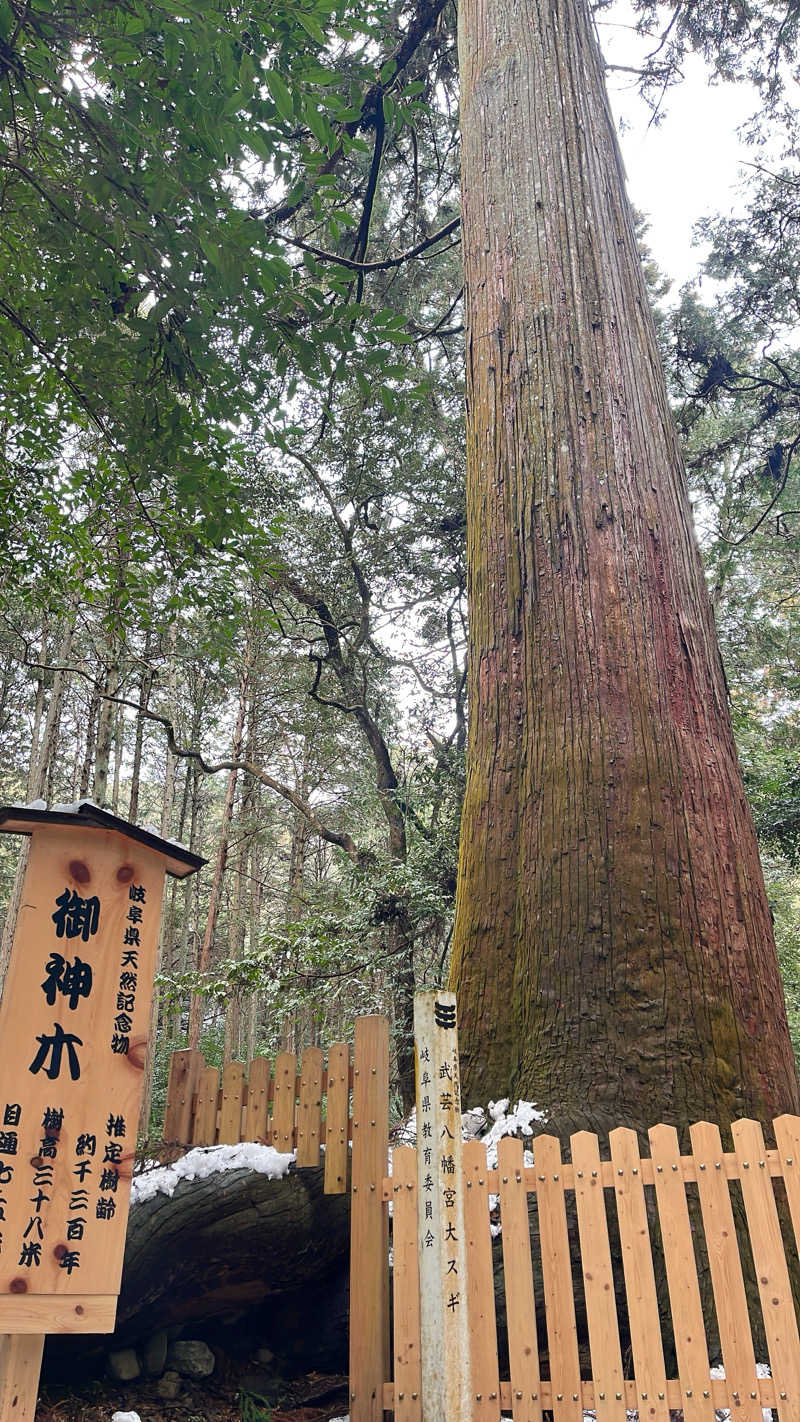 みんさん◎Sauna or die.さんの関観光ホテル 西の屋別館 武芸川温泉のサ活写真