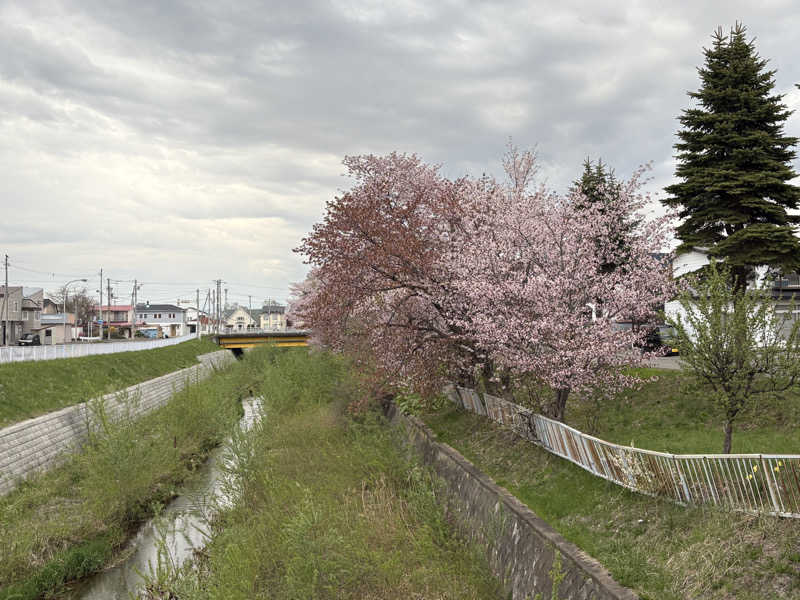 渡部 正人さんの天然温泉やよい乃湯のサ活写真