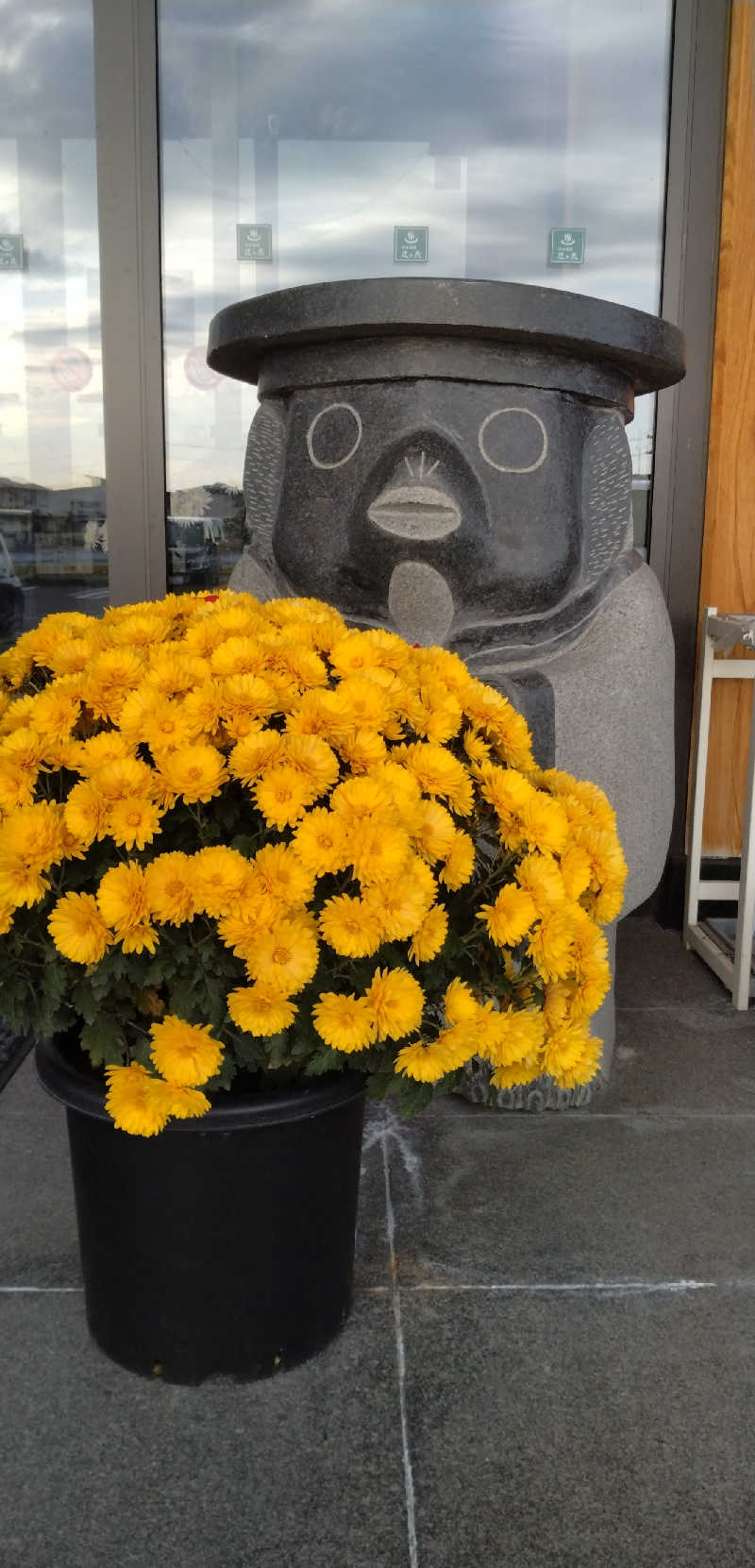 Senさんの沼木温泉 辻ヶ花のサ活写真