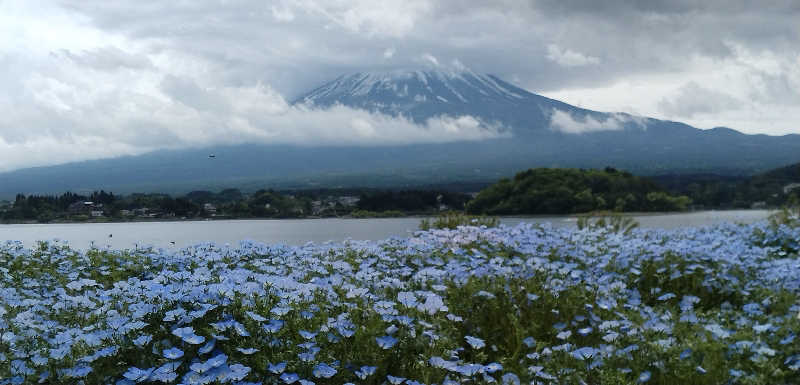 Senさんのホテルマウント富士のサ活写真