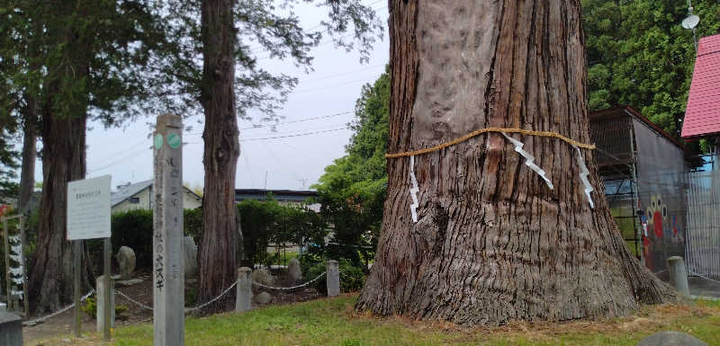 Senさんの鷹野湯温泉 パレス松風のサ活写真