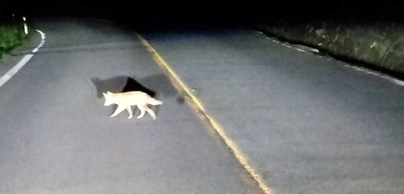 Senさんの高源ゆのサ活写真