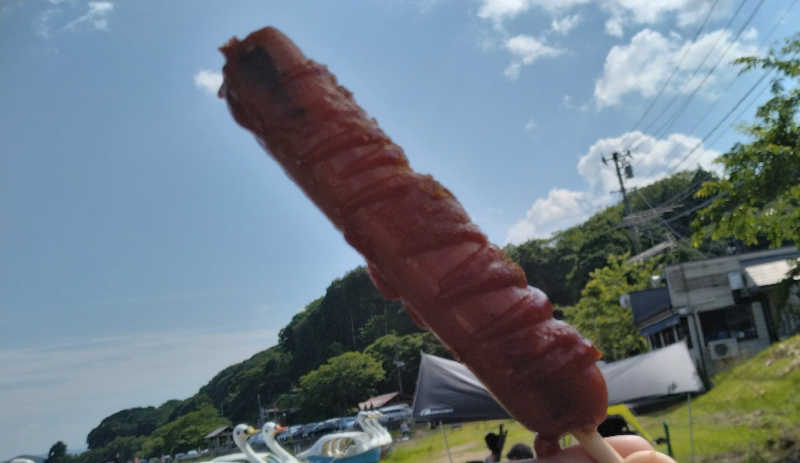 SenさんのLAKE SIDE HOTEL MINATOYA  (MINATOYA SAUNA)のサ活写真