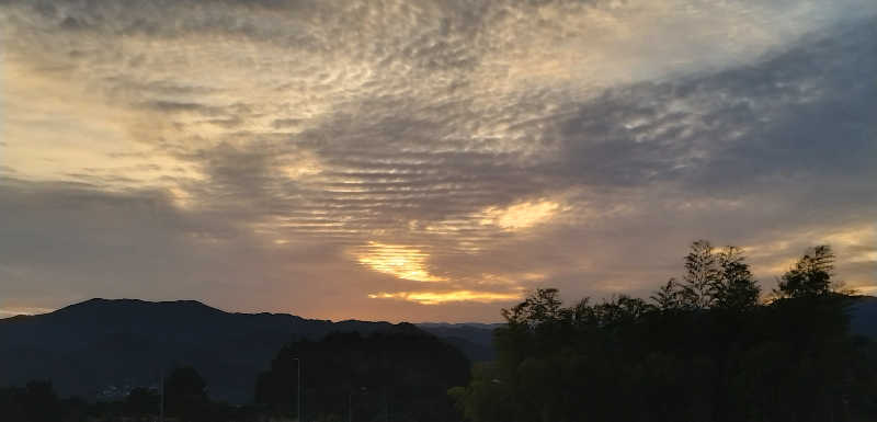 Senさんの水沢温泉館のサ活写真