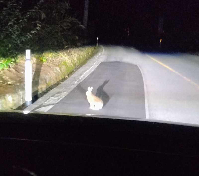 Senさんの高源ゆのサ活写真