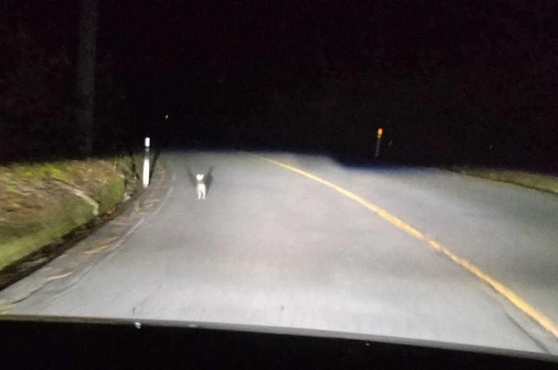 Senさんの高源ゆのサ活写真
