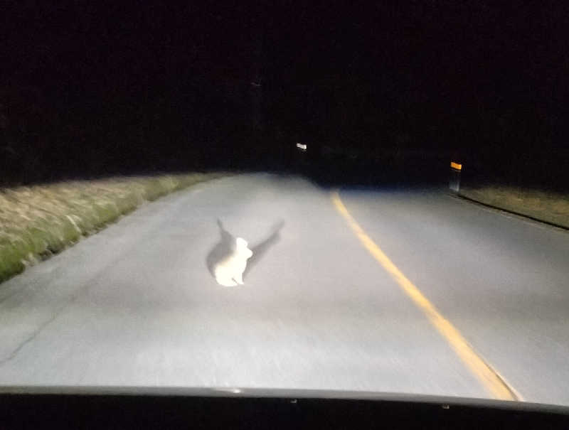 Senさんの高源ゆのサ活写真