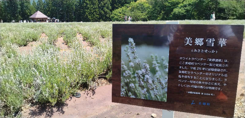 Senさんの高源ゆのサ活写真
