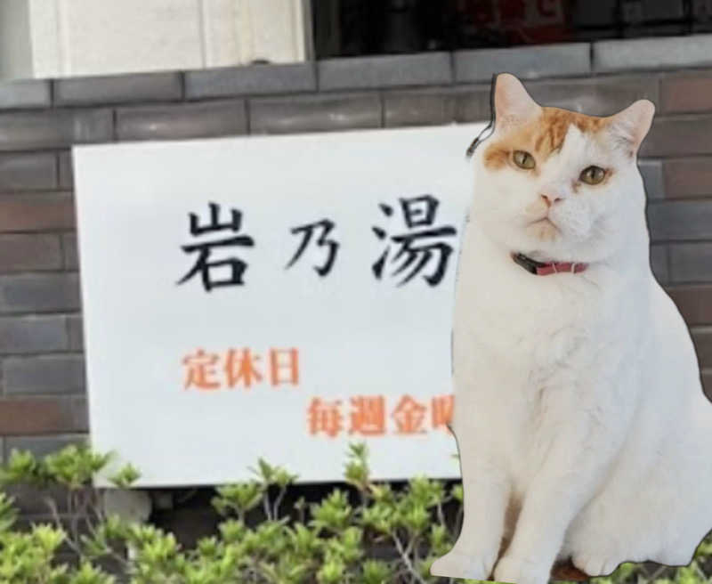 のほほんサウナー@ゆんさんの岩乃湯のサ活写真