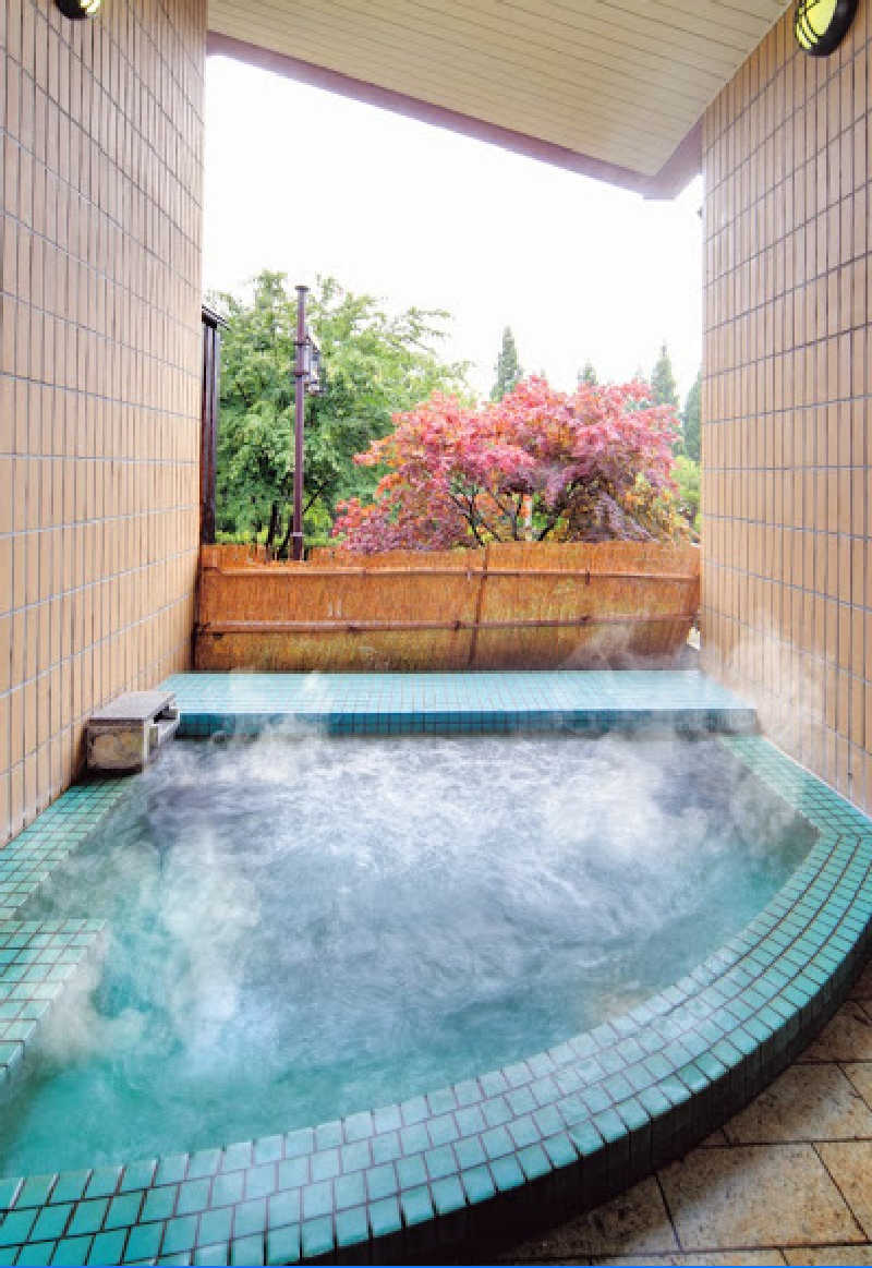 koyu AKAグーゼンさんさんの川口温泉 奥羽山荘のサ活写真