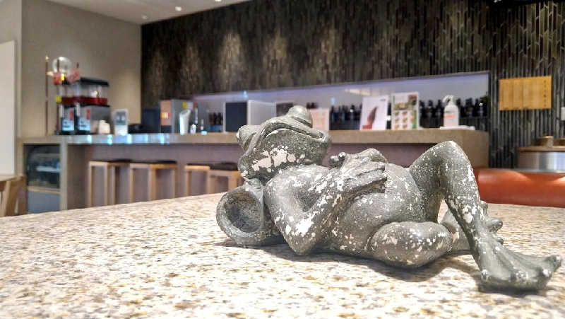 ムラたんさんの綱島源泉 湯けむりの庄のサ活写真