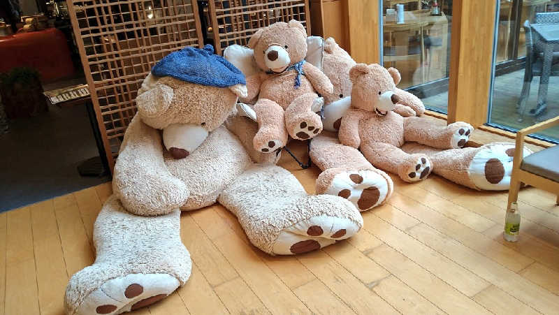 ムラたんさんの綱島源泉 湯けむりの庄のサ活写真