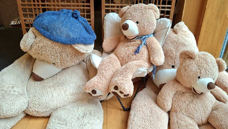 ムラたんさんの綱島源泉 湯けむりの庄のサ活写真