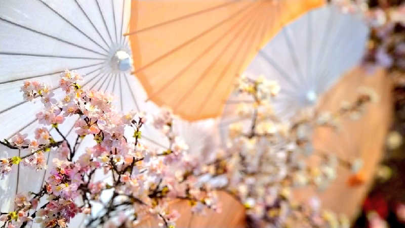 ムラたんさんの綱島源泉 湯けむりの庄のサ活写真