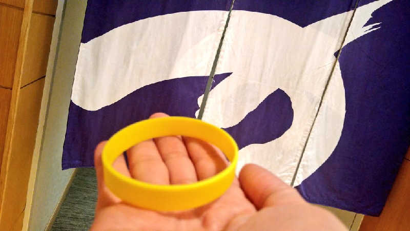 ムラたんさんの綱島源泉 湯けむりの庄のサ活写真