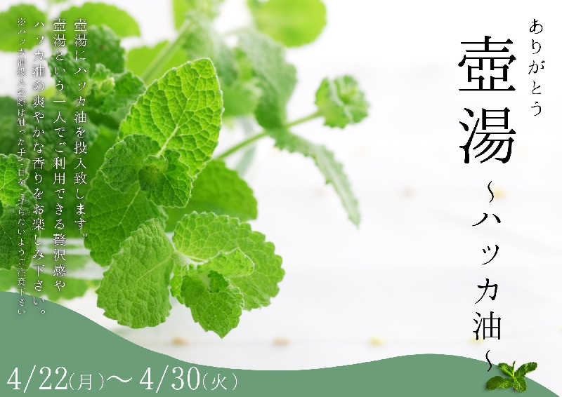 ムラたんさんの綱島源泉 湯けむりの庄のサ活写真